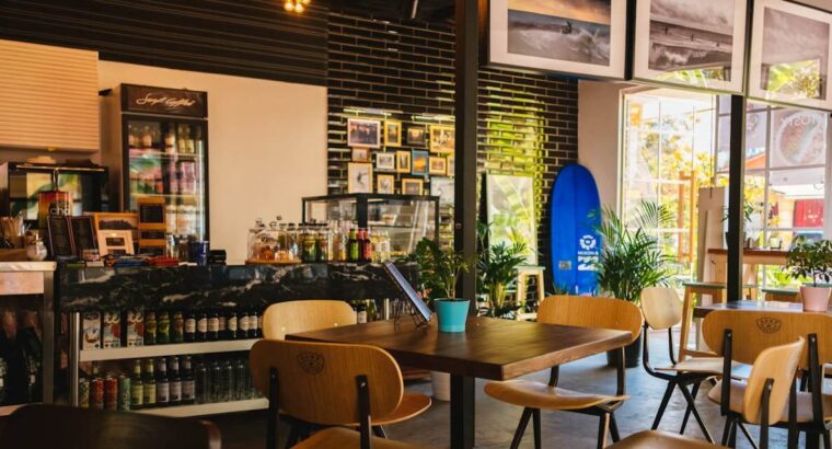 GreenFork Bistro Plant-Based Dining, Elevated Delicious, Healthy, and Guilt-Free